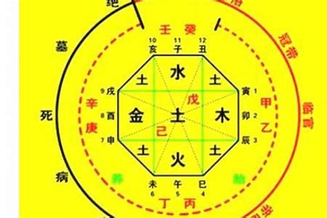 八字五行 查詢|生辰八字算命、五行喜用神查询（免费测算）